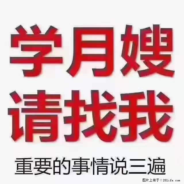 为什么要学习月嫂,育婴师? - 其他广告 - 广告专区 - 榆林分类信息 - 榆林28生活网 yl.28life.com