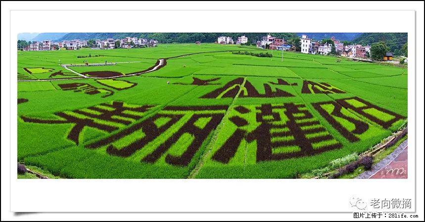 【春天，广西桂林灌阳县向您发出邀请！】开篇 - 游山玩水 - 榆林生活社区 - 榆林28生活网 yl.28life.com