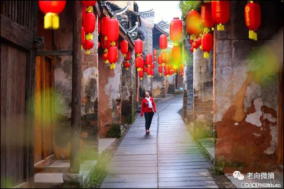 【春天,广西桂林灌阳县向您发出邀请!】江口老街又逢春 - 游山玩水 - 榆林生活社区 - 榆林28生活网 yl.28life.com