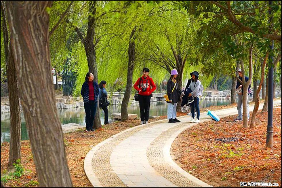 【春天,广西桂林灌阳县向您发出邀请!】江口老街又逢春 - 游山玩水 - 榆林生活社区 - 榆林28生活网 yl.28life.com