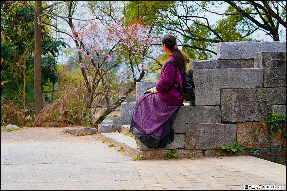 【春天,广西桂林灌阳县向您发出邀请!】江口老街又逢春 - 游山玩水 - 榆林生活社区 - 榆林28生活网 yl.28life.com