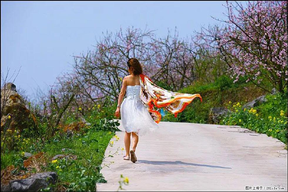 【春天,广西桂林灌阳县向您发出邀请!】望月岭上桃花开 - 游山玩水 - 榆林生活社区 - 榆林28生活网 yl.28life.com