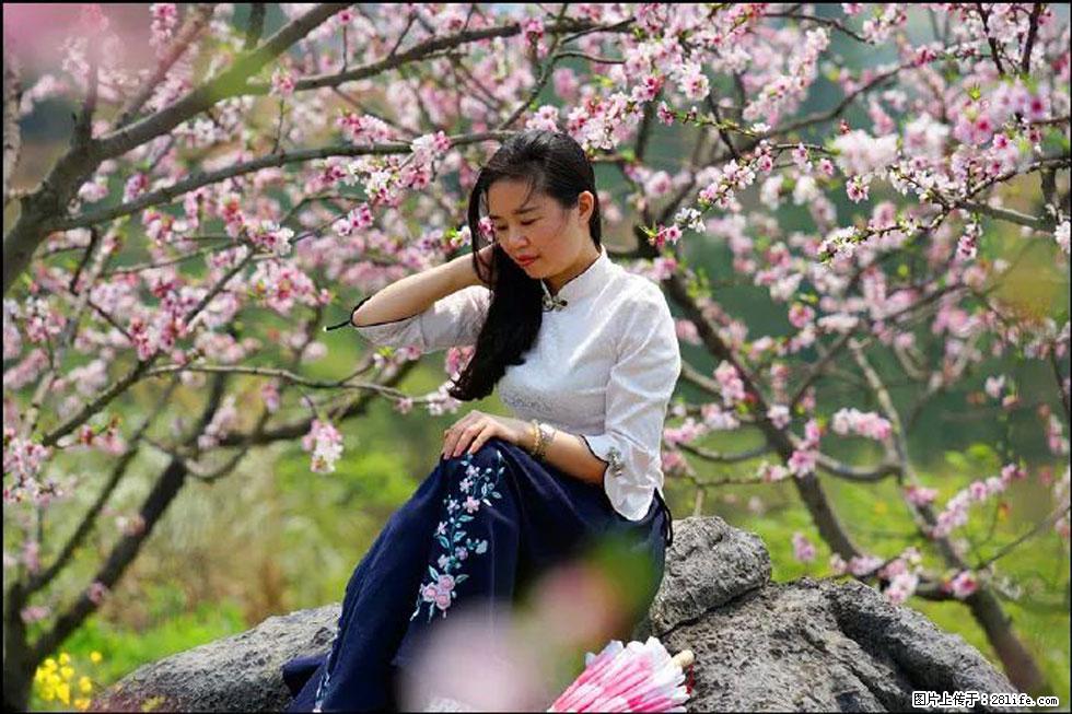 【春天,广西桂林灌阳县向您发出邀请!】望月岭上桃花开 - 游山玩水 - 榆林生活社区 - 榆林28生活网 yl.28life.com