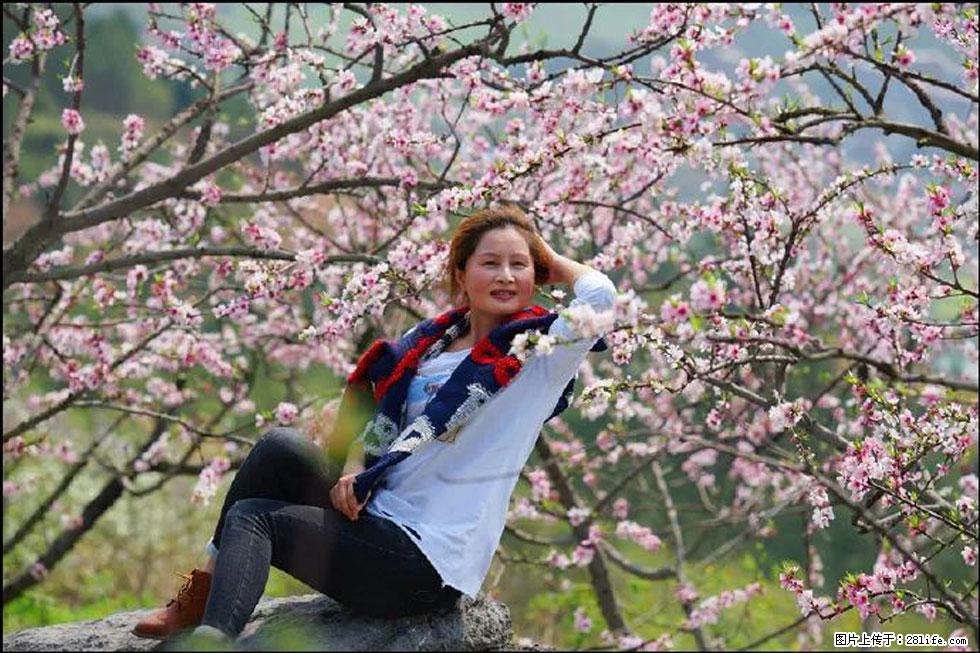 【春天,广西桂林灌阳县向您发出邀请!】望月岭上桃花开 - 游山玩水 - 榆林生活社区 - 榆林28生活网 yl.28life.com