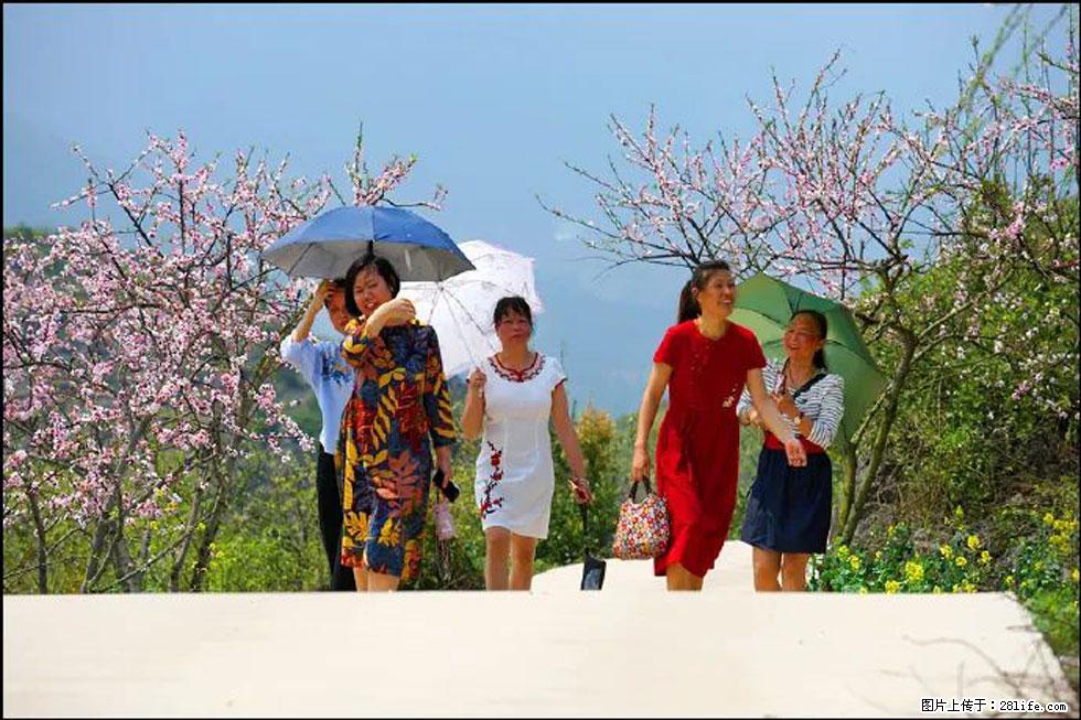 【春天,广西桂林灌阳县向您发出邀请!】望月岭上桃花开 - 游山玩水 - 榆林生活社区 - 榆林28生活网 yl.28life.com