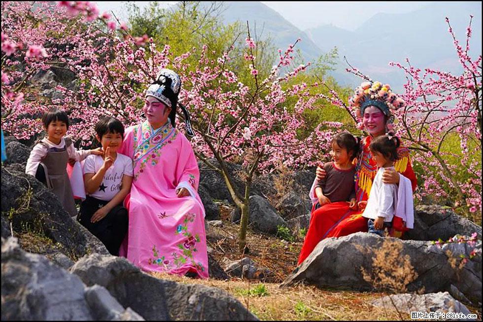 【春天,广西桂林灌阳县向您发出邀请!】望月岭上桃花开 - 游山玩水 - 榆林生活社区 - 榆林28生活网 yl.28life.com