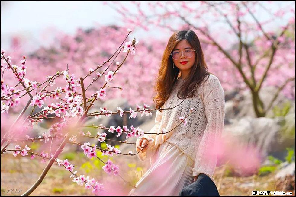 【春天,广西桂林灌阳县向您发出邀请!】望月岭上桃花开 - 游山玩水 - 榆林生活社区 - 榆林28生活网 yl.28life.com