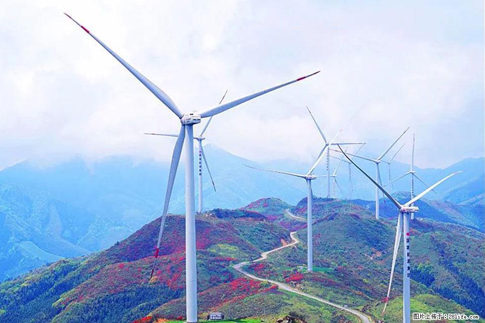 【春天,广西桂林灌阳县向您发出邀请!】春木界上映山红 - 游山玩水 - 榆林生活社区 - 榆林28生活网 yl.28life.com