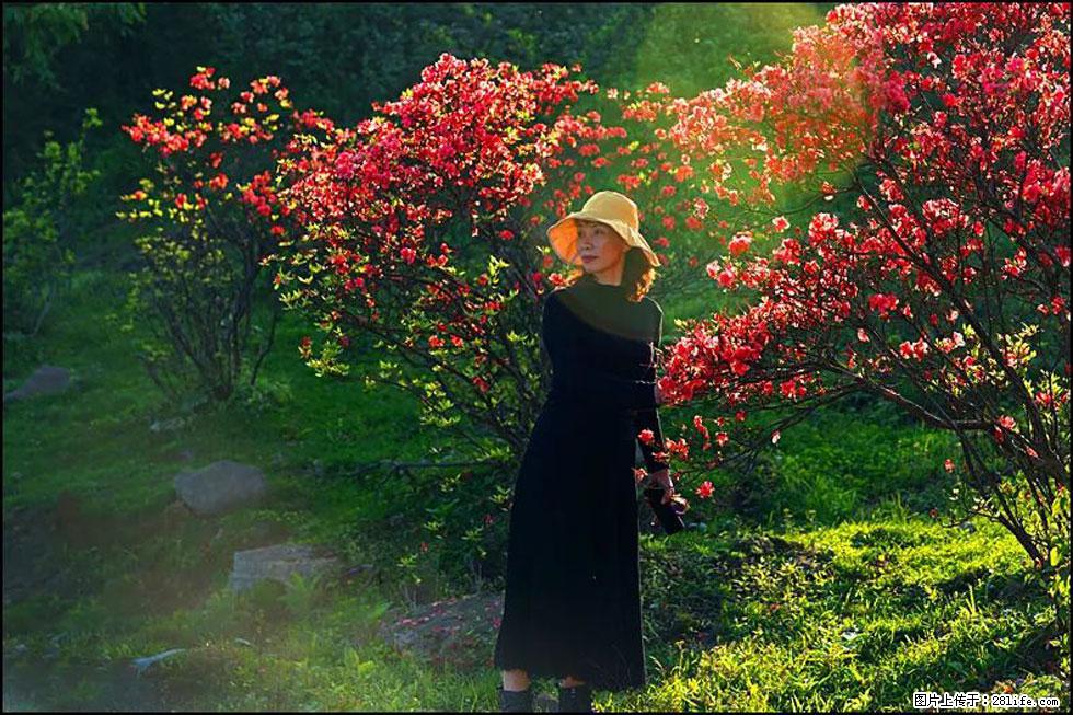 【春天,广西桂林灌阳县向您发出邀请!】春木界上映山红 - 游山玩水 - 榆林生活社区 - 榆林28生活网 yl.28life.com