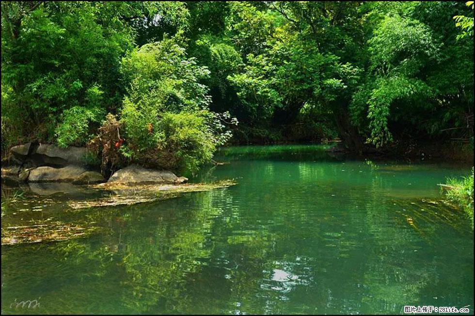 【春天,广西桂林灌阳县向您发出邀请!】如梦似幻莲溪庐 - 游山玩水 - 榆林生活社区 - 榆林28生活网 yl.28life.com