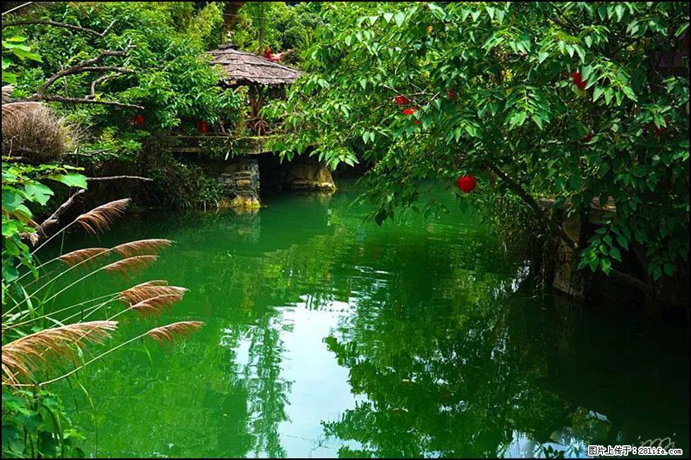 【春天,广西桂林灌阳县向您发出邀请!】如梦似幻莲溪庐 - 游山玩水 - 榆林生活社区 - 榆林28生活网 yl.28life.com