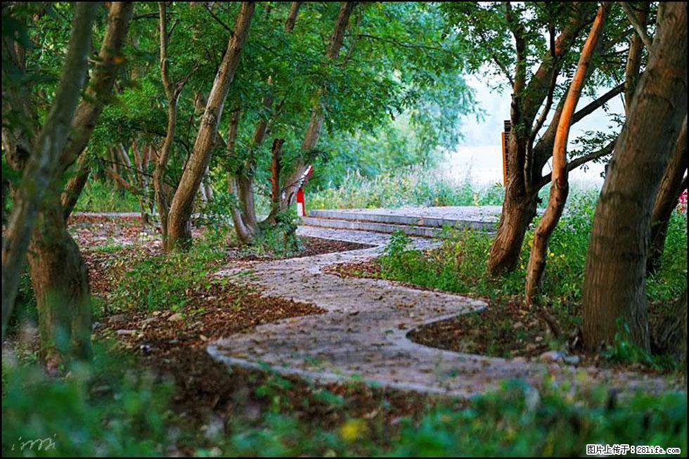 【春天,广西桂林灌阳县向您发出邀请!】熊家寨湿地公园 - 游山玩水 - 榆林生活社区 - 榆林28生活网 yl.28life.com