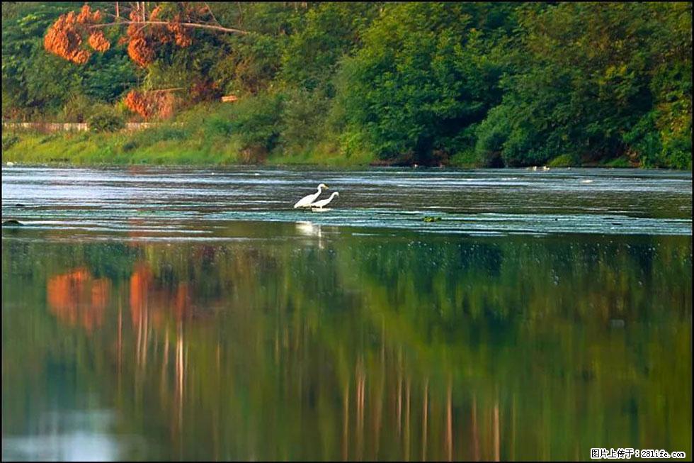 【春天,广西桂林灌阳县向您发出邀请!】熊家寨湿地公园 - 游山玩水 - 榆林生活社区 - 榆林28生活网 yl.28life.com
