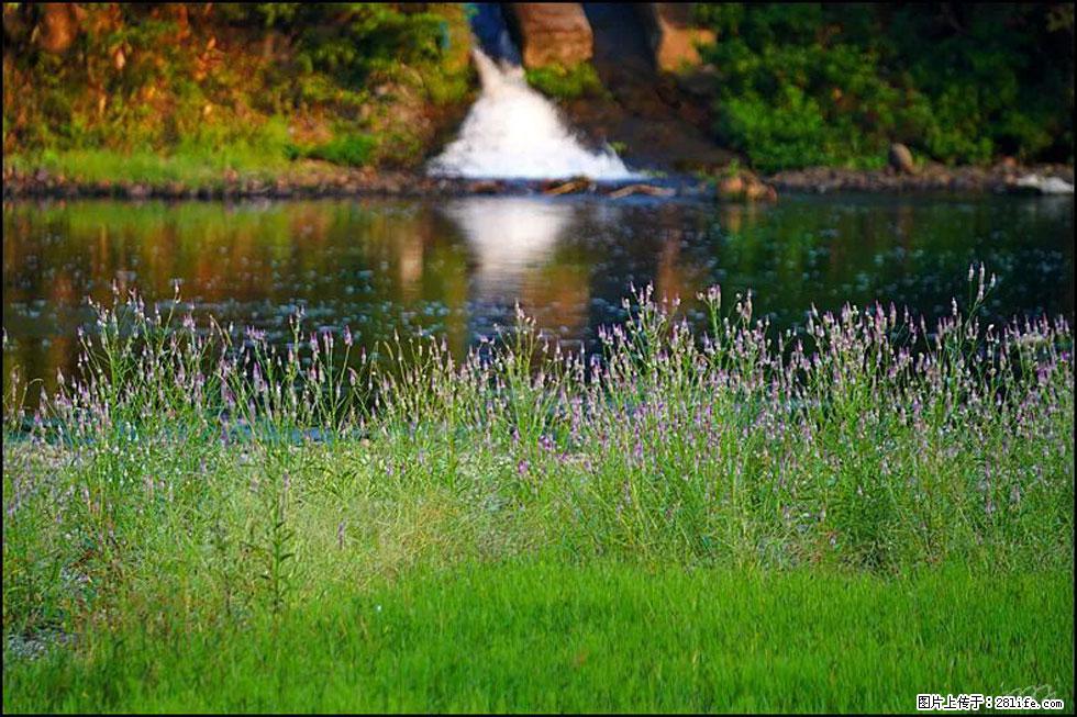 【春天,广西桂林灌阳县向您发出邀请!】熊家寨湿地公园 - 游山玩水 - 榆林生活社区 - 榆林28生活网 yl.28life.com