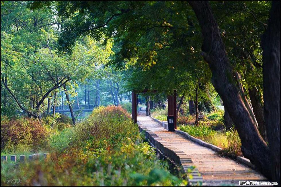 【春天,广西桂林灌阳县向您发出邀请!】熊家寨湿地公园 - 游山玩水 - 榆林生活社区 - 榆林28生活网 yl.28life.com