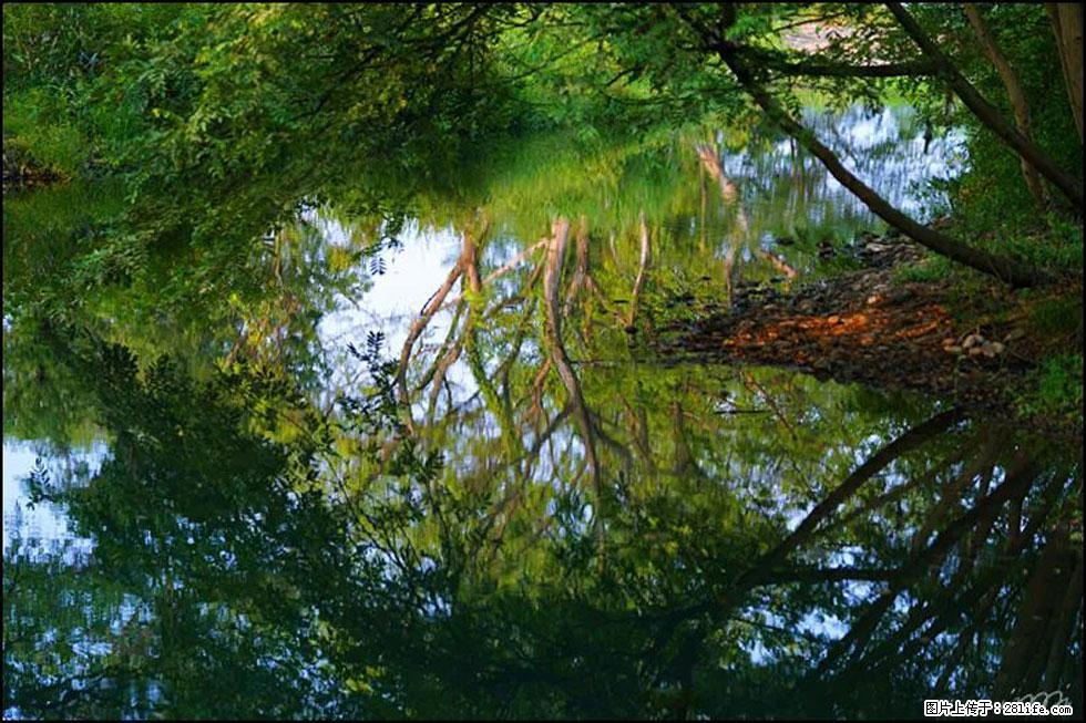 【春天,广西桂林灌阳县向您发出邀请!】熊家寨湿地公园 - 游山玩水 - 榆林生活社区 - 榆林28生活网 yl.28life.com