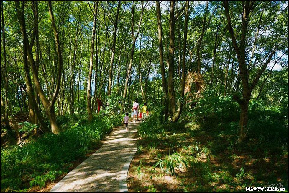 【春天,广西桂林灌阳县向您发出邀请!】熊家寨湿地公园 - 游山玩水 - 榆林生活社区 - 榆林28生活网 yl.28life.com