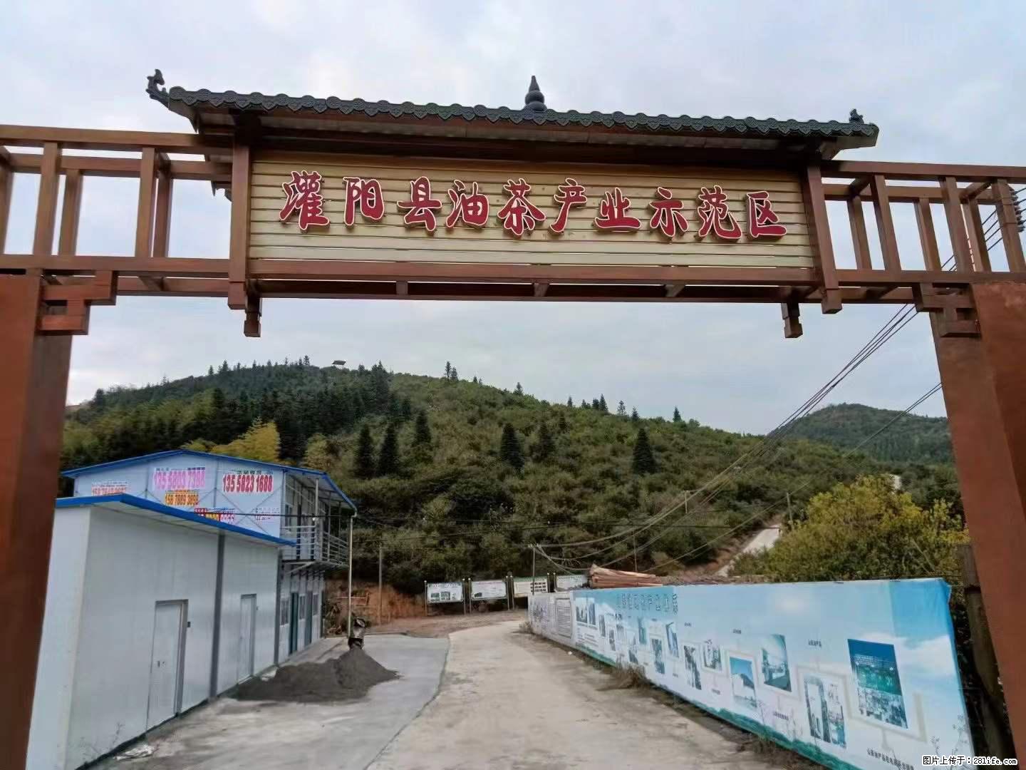 【灌阳县油茶产业示范区】一个有着充实的精神生活的人,对待身外之物自会有一种淡泊的态度 - 美食天地 - 榆林生活社区 - 榆林28生活网 yl.28life.com