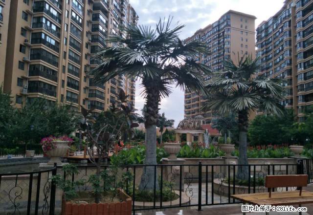 出租 塞维利亚 带家具家电 包物业取暖费 - 房屋出租 - 房屋租售 - 榆林分类信息 - 榆林28生活网 yl.28life.com