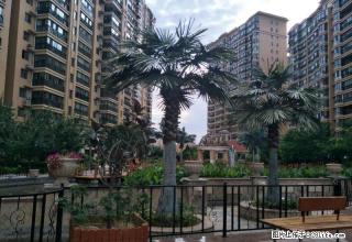 出租 塞维利亚 带家具家电 包物业取暖费 - 榆林28生活网 yl.28life.com