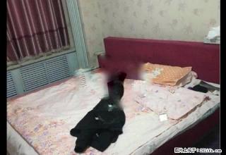 广榆小区，带地下停车位，电视费一年，物业交在明年二月。 - 榆林28生活网 yl.28life.com