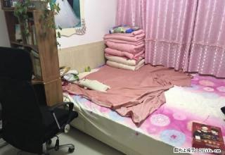 开发区紫墨园2室2厅1卫拎包入住 - 榆林28生活网 yl.28life.com