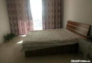 阳光城 中等装修 现在急租 - 榆林28生活网 yl.28life.com