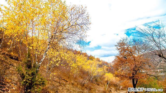 易居房产:西沙火车站家属院有房出租 - 房屋出租 - 房屋租售 - 榆林分类信息 - 榆林28生活网 yl.28life.com