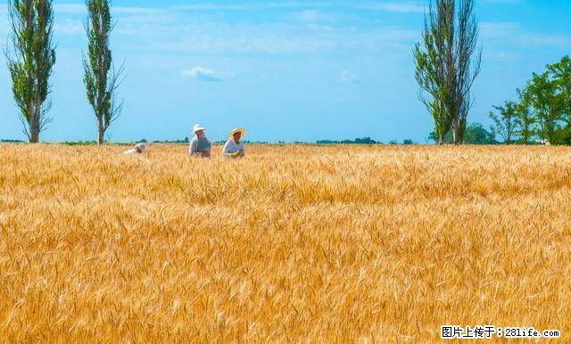 易居房产:巨丰三室精装修拎包入住出租 - 房屋出租 - 房屋租售 - 榆林分类信息 - 榆林28生活网 yl.28life.com