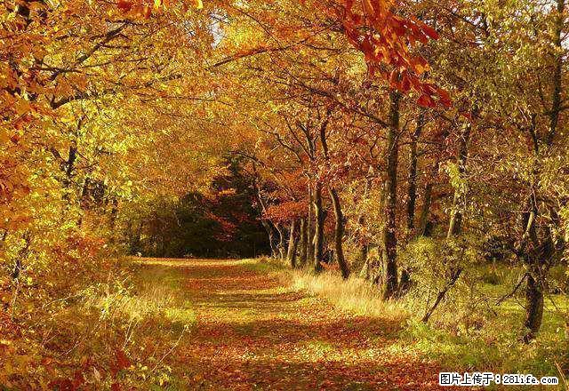 易居房产:本公司有西沙开发区多套房源出租 - 房屋出租 - 房屋租售 - 榆林分类信息 - 榆林28生活网 yl.28life.com