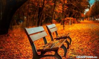 易居房产：开发区人民大厦附近有四室办公的房子出租 - 榆林28生活网 yl.28life.com