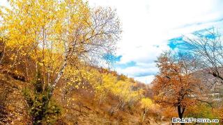 易居房产：西沙火车站家属院有房出租 - 榆林28生活网 yl.28life.com