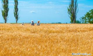 易居房产：巨丰三室精装修拎包入住出租 - 榆林28生活网 yl.28life.com