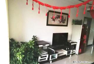 南郊六小家属院，精装，家具家电全带，拎包入住！！ - 榆林28生活网 yl.28life.com