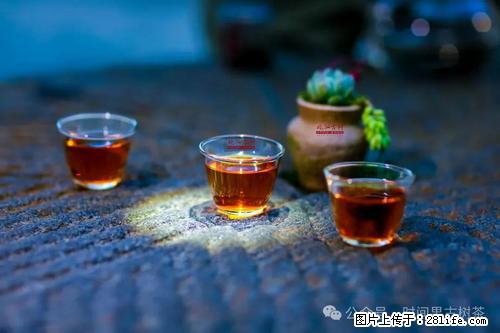 时间果百年古树2025年春红茶 - 购物交流 - 榆林生活社区 - 榆林28生活网 yl.28life.com