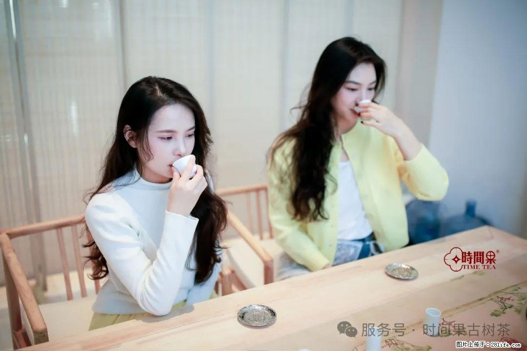 时间果百年古树龙珠普洱生茶 - 购物交流 - 榆林生活社区 - 榆林28生活网 yl.28life.com