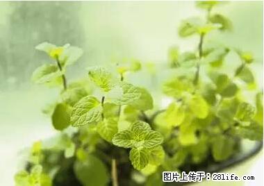 晕车、脚气、牙齿变黄、皮肤粗糙?学会这些三分钟搞定! - 榆林生活资讯 - 榆林28生活网 yl.28life.com