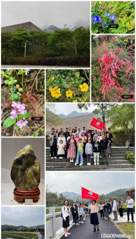 “粤灌文化 美好生活”油茶文化主题活动在广东深圳成功举办 - 榆林生活资讯 - 榆林28生活网 yl.28life.com