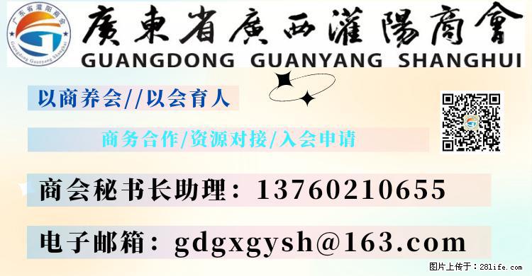 “粤灌文化 美好生活”油茶文化主题活动在广东深圳成功举办 - 榆林生活资讯 - 榆林28生活网 yl.28life.com