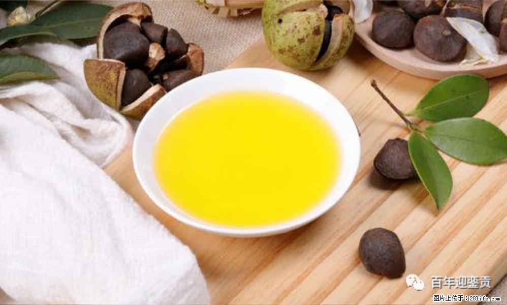 揭秘茶油的5大核心营养成分！被称为人体健康的“守护盾”！ - 榆林生活资讯 - 榆林28生活网 yl.28life.com