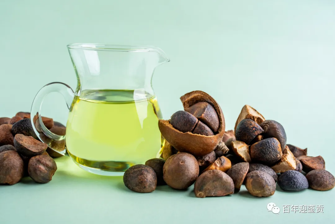 世界没有真相，只有认知，最好的食用油是中国的山茶油！ - 榆林生活资讯 - 榆林28生活网 yl.28life.com