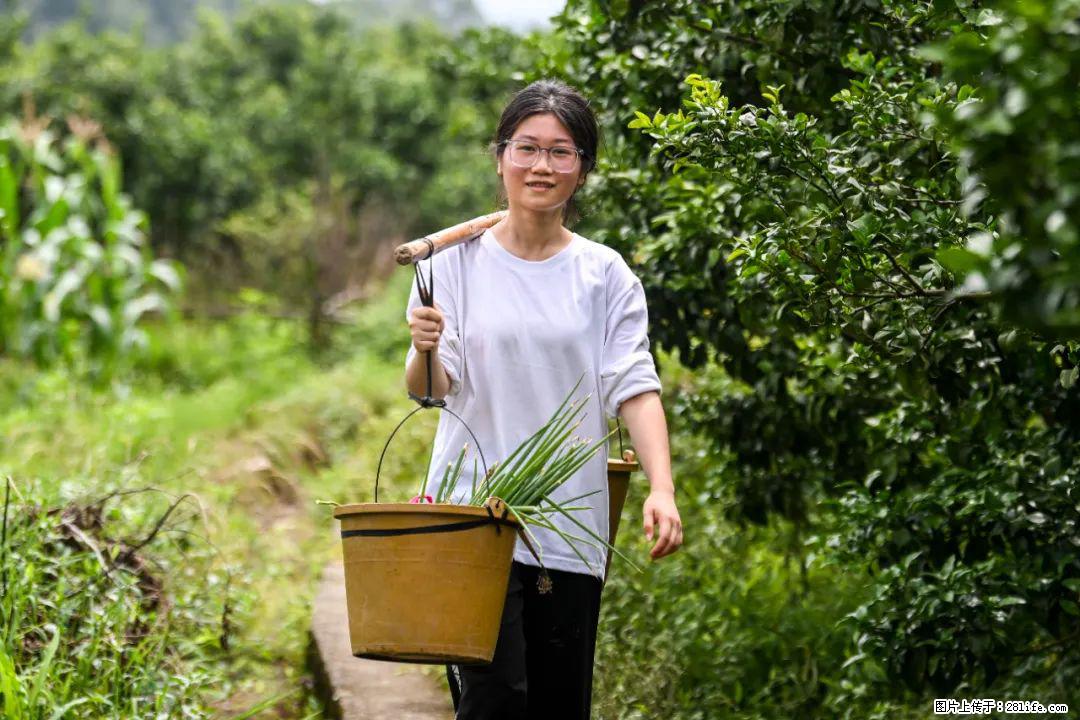 全网追的“扁担女孩”,找了一份暑假工,时薪12元 - 榆林生活资讯 - 榆林28生活网 yl.28life.com