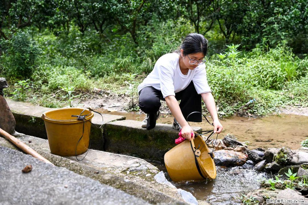全网追的“扁担女孩”,找了一份暑假工,时薪12元 - 榆林生活资讯 - 榆林28生活网 yl.28life.com