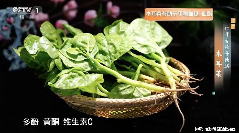 比牛奶补钙还厉害！凉血解毒、稳血糖...这菜冬天必吃，很多人却当草 - 榆林生活资讯 - 榆林28生活网 yl.28life.com