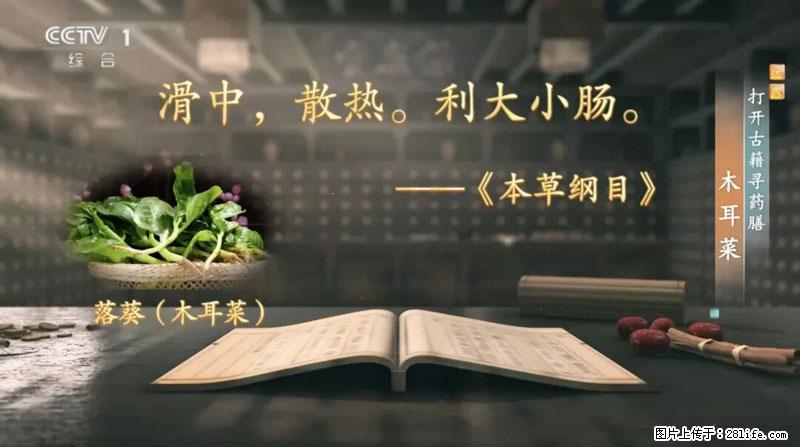 比牛奶补钙还厉害！凉血解毒、稳血糖...这菜冬天必吃，很多人却当草 - 榆林生活资讯 - 榆林28生活网 yl.28life.com