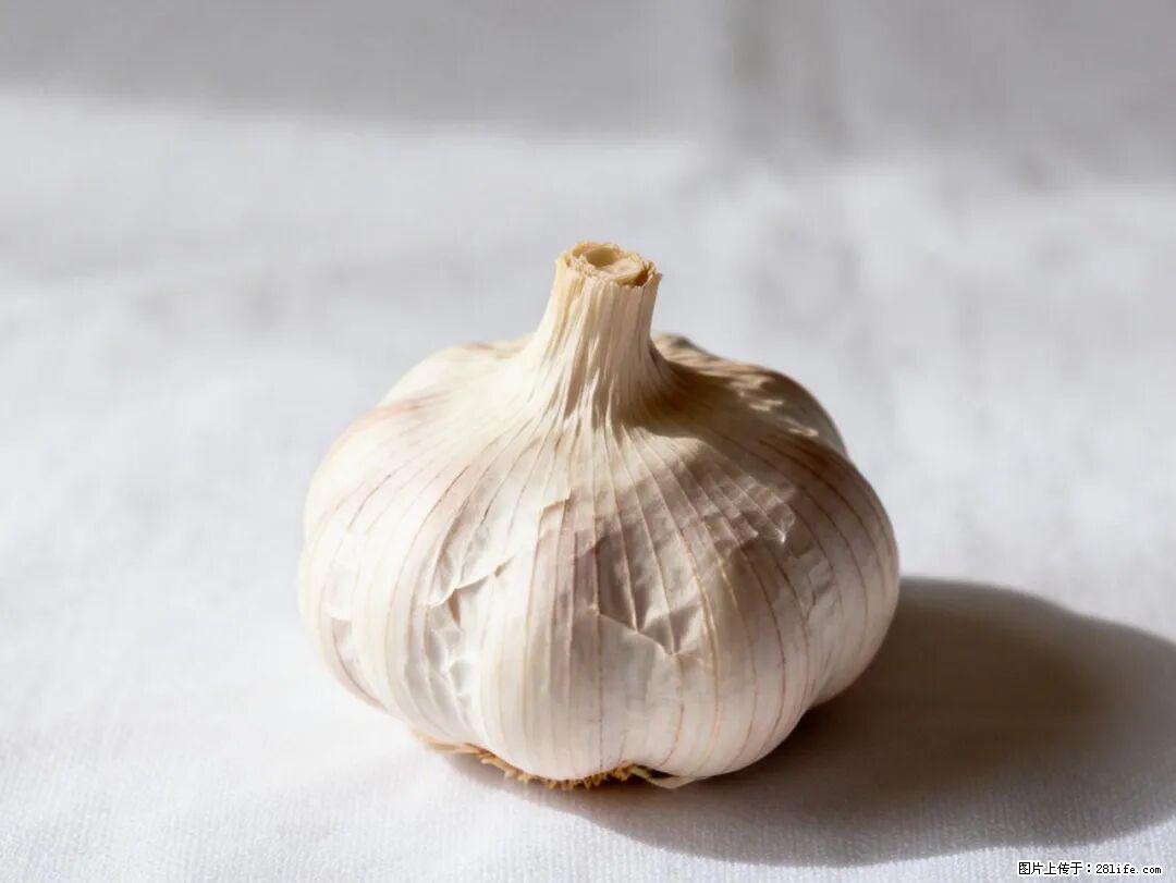 关于大蒜，除了“天然抗生素”，这4个谣言更该警惕! - 榆林生活资讯 - 榆林28生活网 yl.28life.com