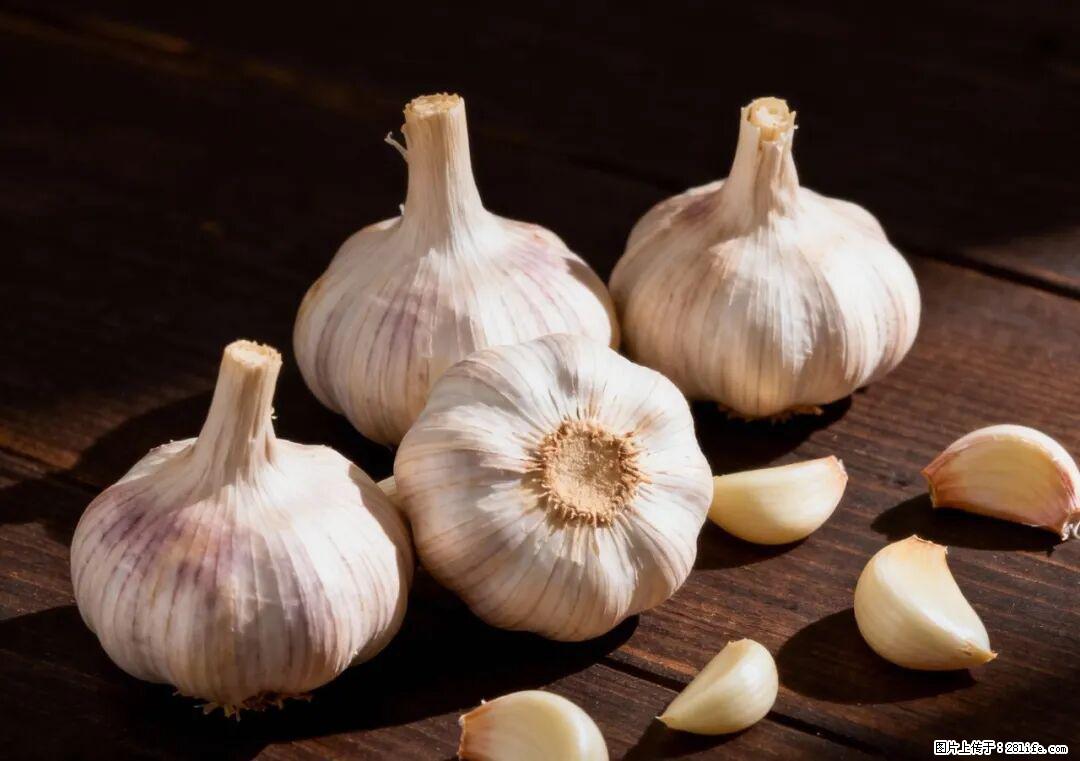 关于大蒜，除了“天然抗生素”，这4个谣言更该警惕! - 榆林生活资讯 - 榆林28生活网 yl.28life.com