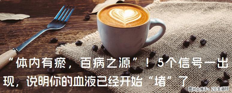 “体内有瘀,百病之源”!5个信号一出现,说明你的血液已经开始“堵”了 - 榆林生活资讯 - 榆林28生活网 yl.28life.com